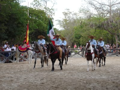 089 Horse show.JPG