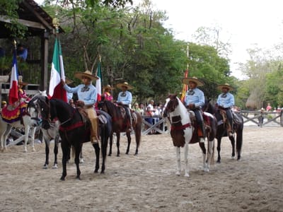090 Horse show.JPG