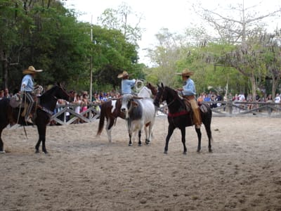 091 Horse show.JPG