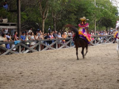 093 Horse show.JPG