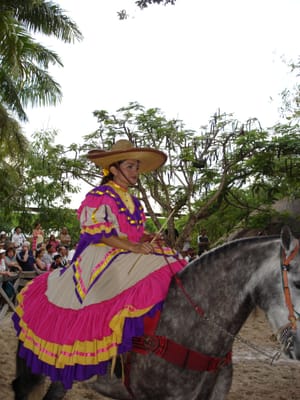 094 Horse show.JPG
