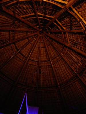 131 Del Lago Ceiling.JPG
