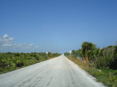 195.JPG