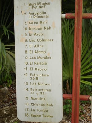 204.JPG