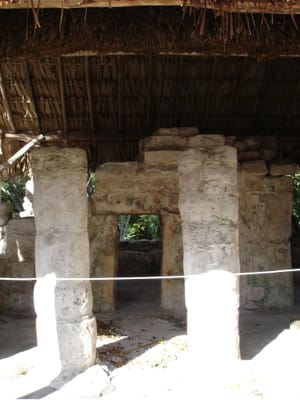 207.JPG