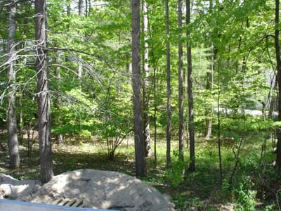 DSC00799.JPG