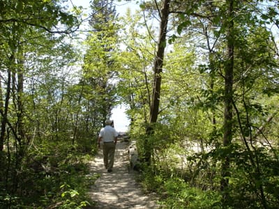 DSC00820.JPG