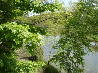 DSC00847.JPG