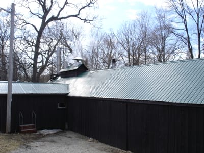 012 Vader's Maple Syrup.JPG