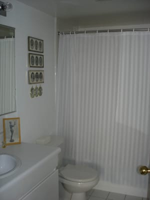 016 Main bath.JPG