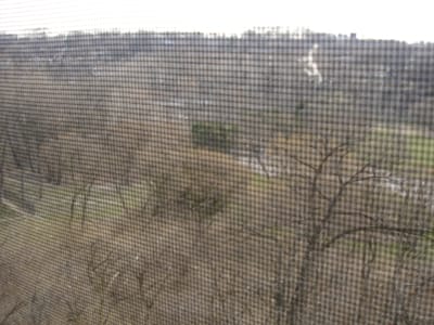 018 View out window.JPG