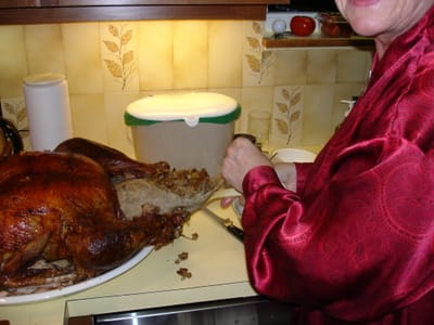 027 stuffing birth.JPG