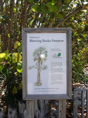 A046C BLOWING ROCKS PRESERVE.JPG