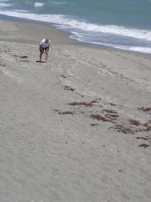 A068 CORAL COVE.JPG