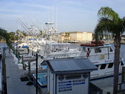 A097 VIEW FROM TABLE.JPG