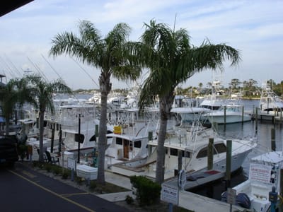 A099 PIRATES LIFT DOCKS.JPG