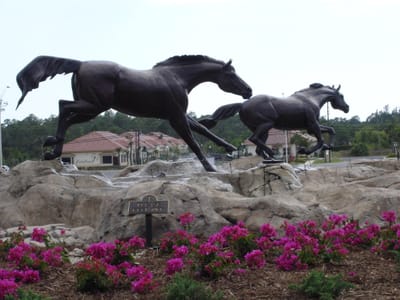 A002 THE MUSTANGS.JPG