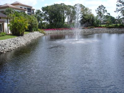 A062 POND.JPG