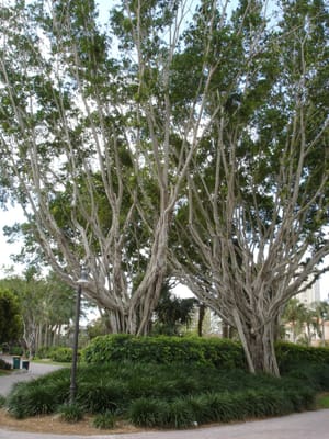 A064ENTRANCE TO CONDO.JPG