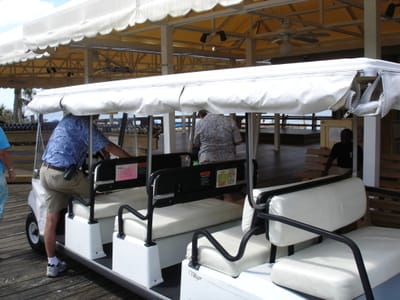 A066 TROLLY TO BEACH.JPG