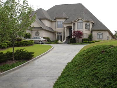 A003 CANOPY ROAD.JPG