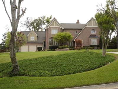 A004 CANOPY ROAD.JPG
