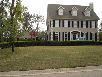 A005 CANOPY ROAD.JPG