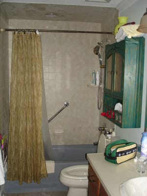 A017 GUEST BATH.JPG