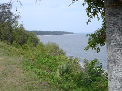 A084 ALONG SCENIC HWY.JPG