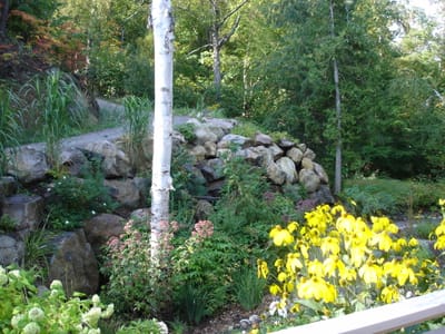 A-007 Annes Garden.JPG