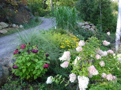A-008 Garden.JPG