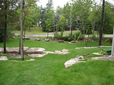 A-017 back yard from house.JPG