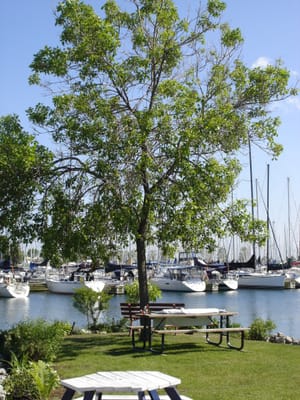 A-026 Poopers Point.JPG