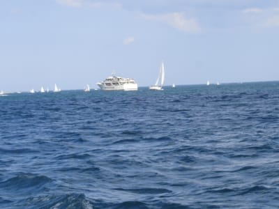 A-091 Matthew Flinders.JPG