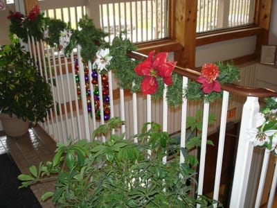 Picture 020.jpg