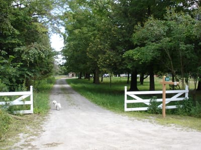 A-0007 5611 9th Line.JPG