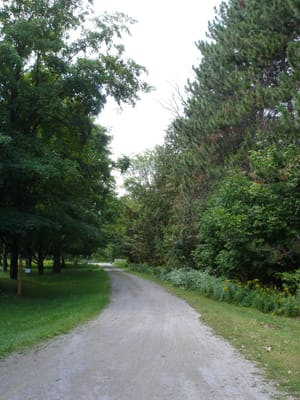 A-0012 Drive looking back towards road.JPG