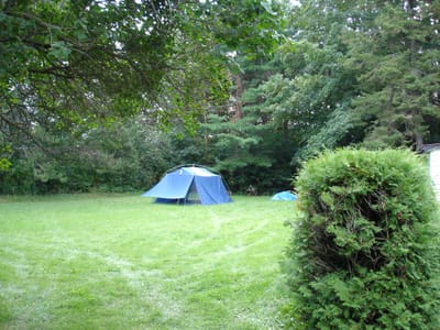 A-0015 Side yard.JPG