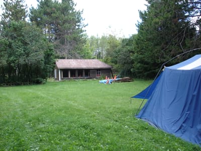 A-0017 Side yard and coop.JPG