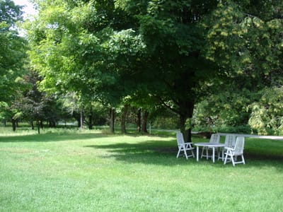 A-0022 Front yard.JPG