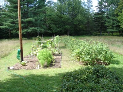 A-0025 Garden.JPG