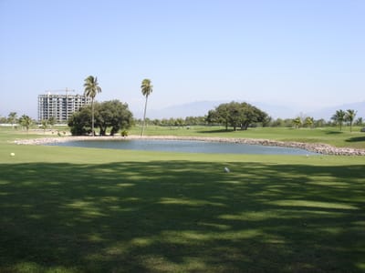A008 PV 2006.JPG