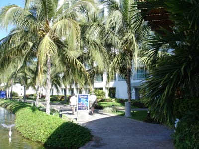 A034 GROUNDS.JPG