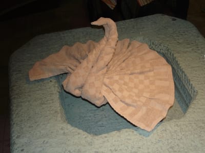 A061 MAIDS CREATION.JPG