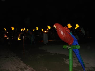 A076 LUNADA.JPG