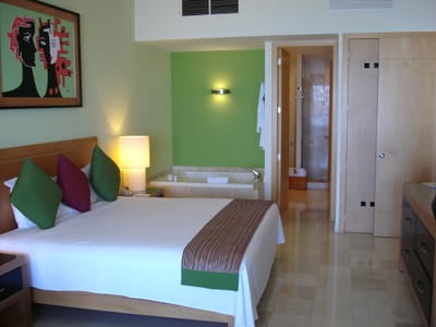 A081 GRAND MAYAN.JPG