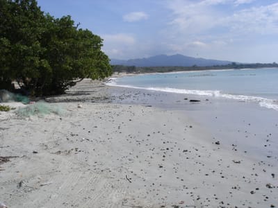 A090 PUNTA DE MITA.JPG