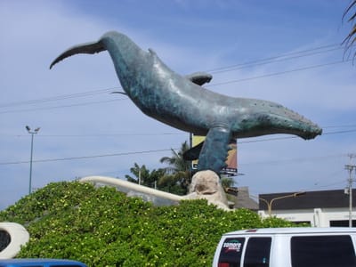 A113 MARINA VALLARTA.JPG