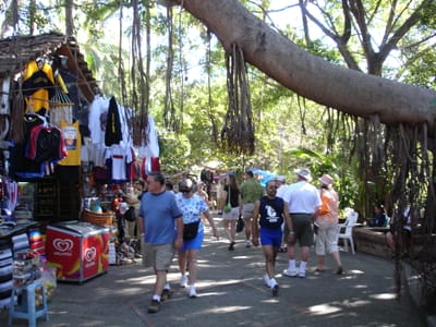 A125 ISLA RIO CUALE.JPG