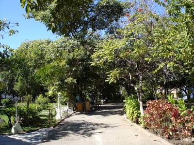 A139 WALKWAY.JPG